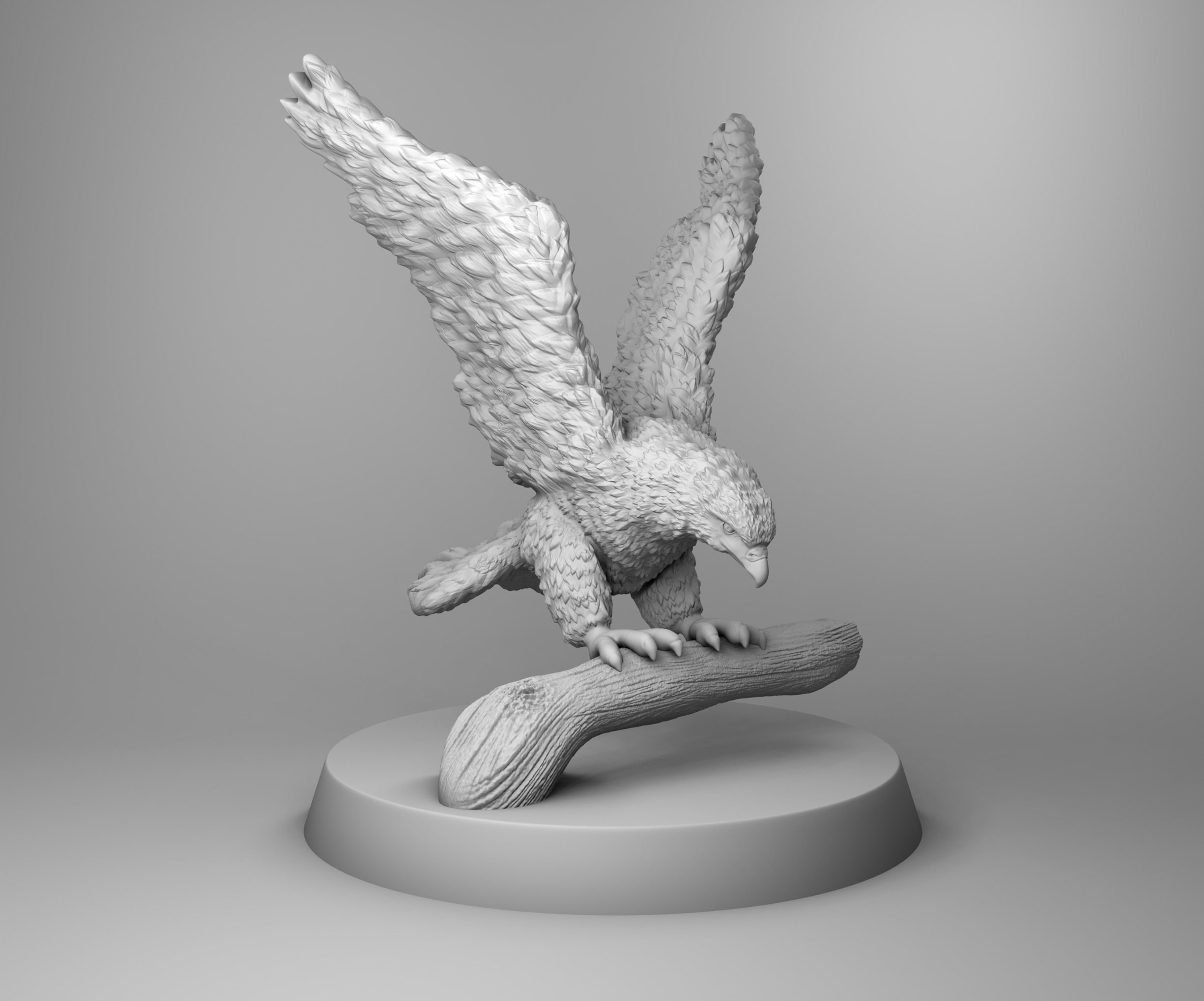 Mountain hawk 3D print model_1