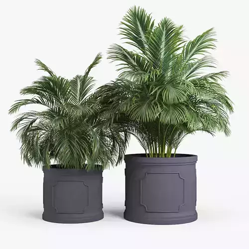 Birmingham Planter Palm 3D model