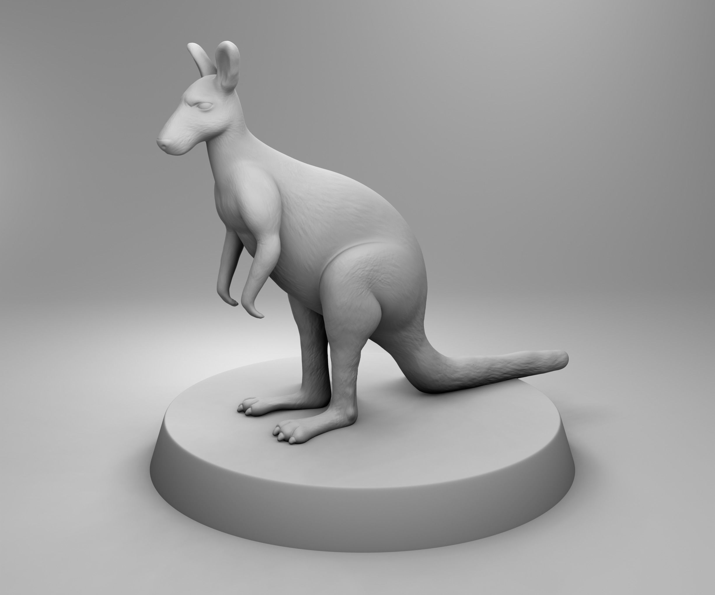 African kangaroo 3D print model_1