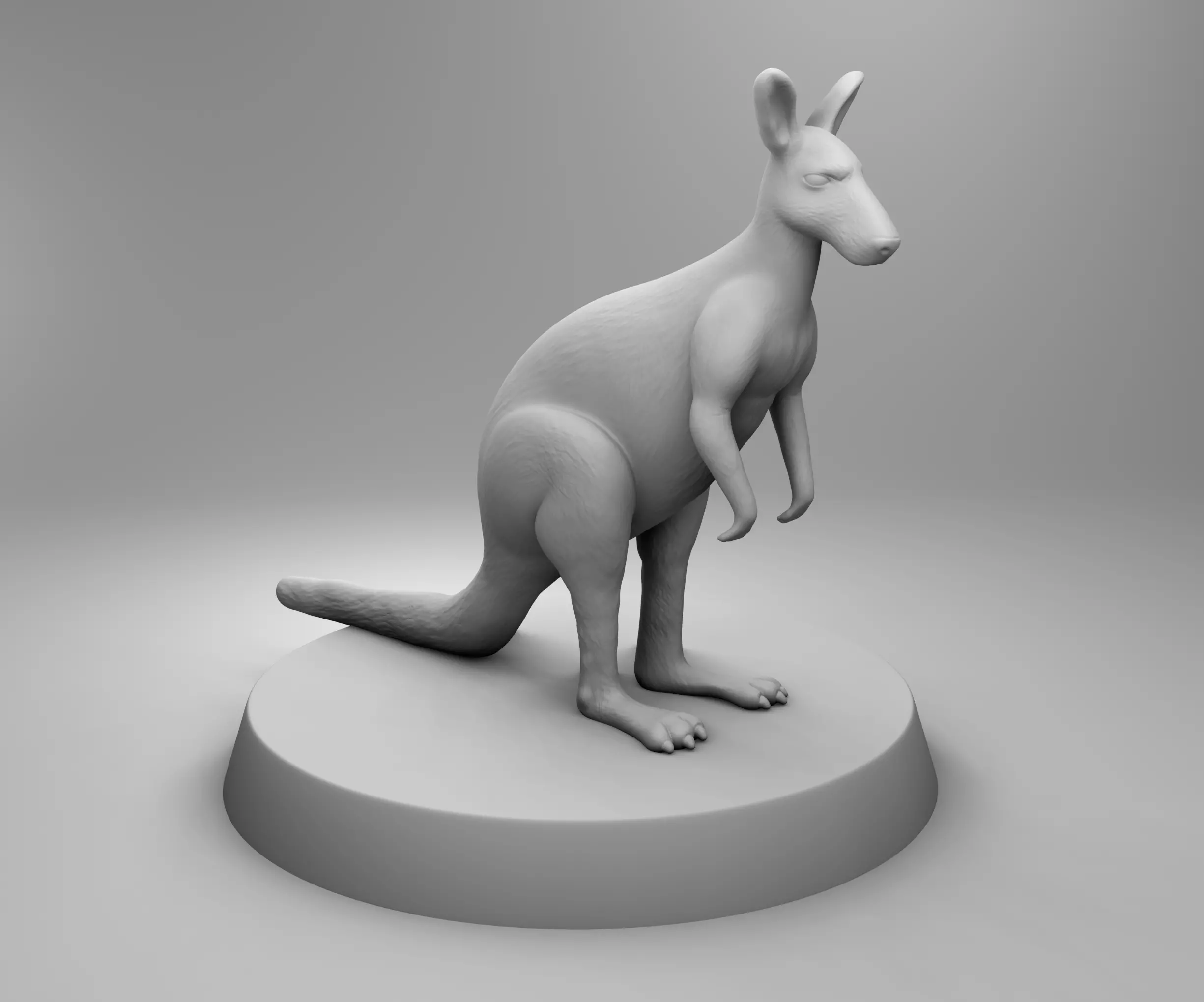 African kangaroo 3D print model_0