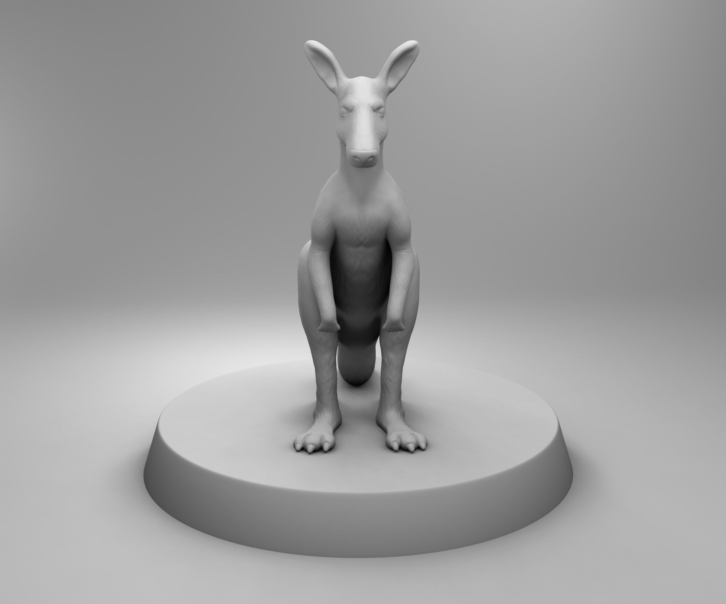 African kangaroo 3D print model_2