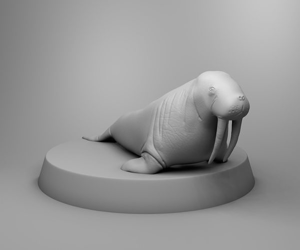 Walrus 3D print model