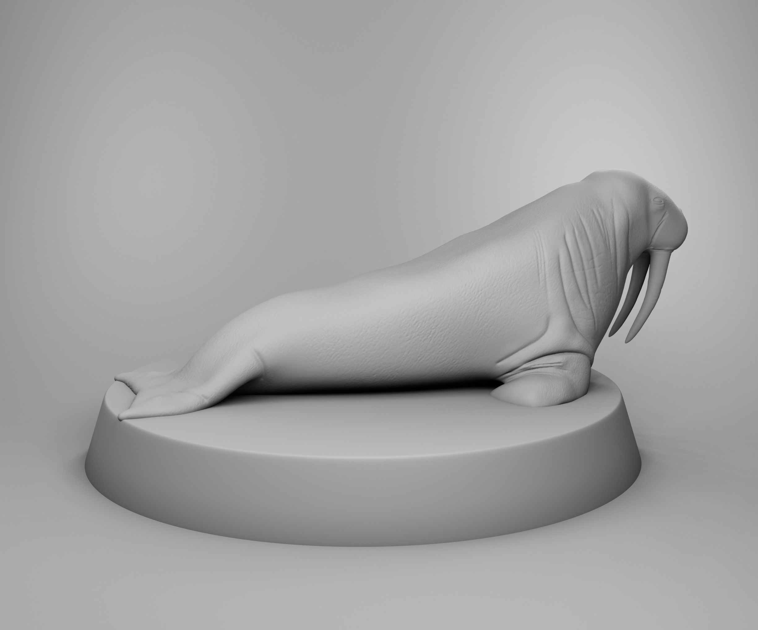 Walrus 3D print model_2
