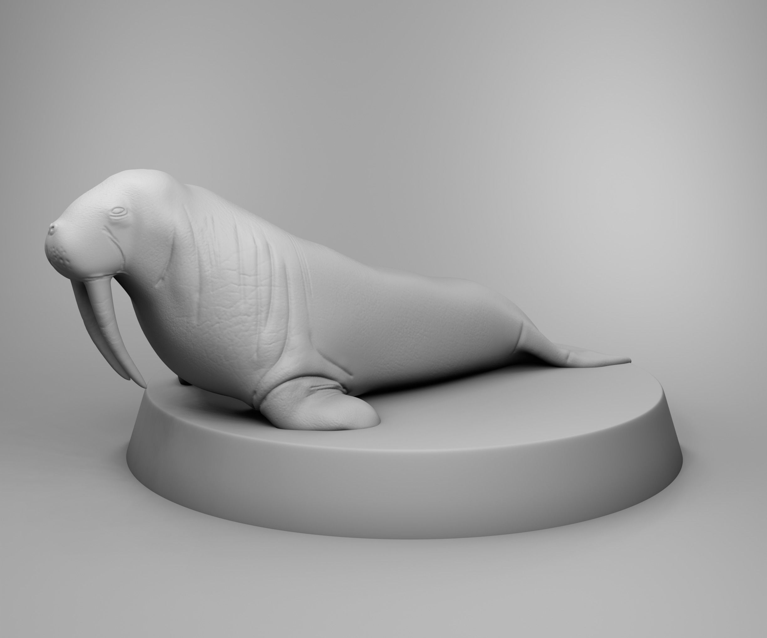 Walrus 3D print model_1