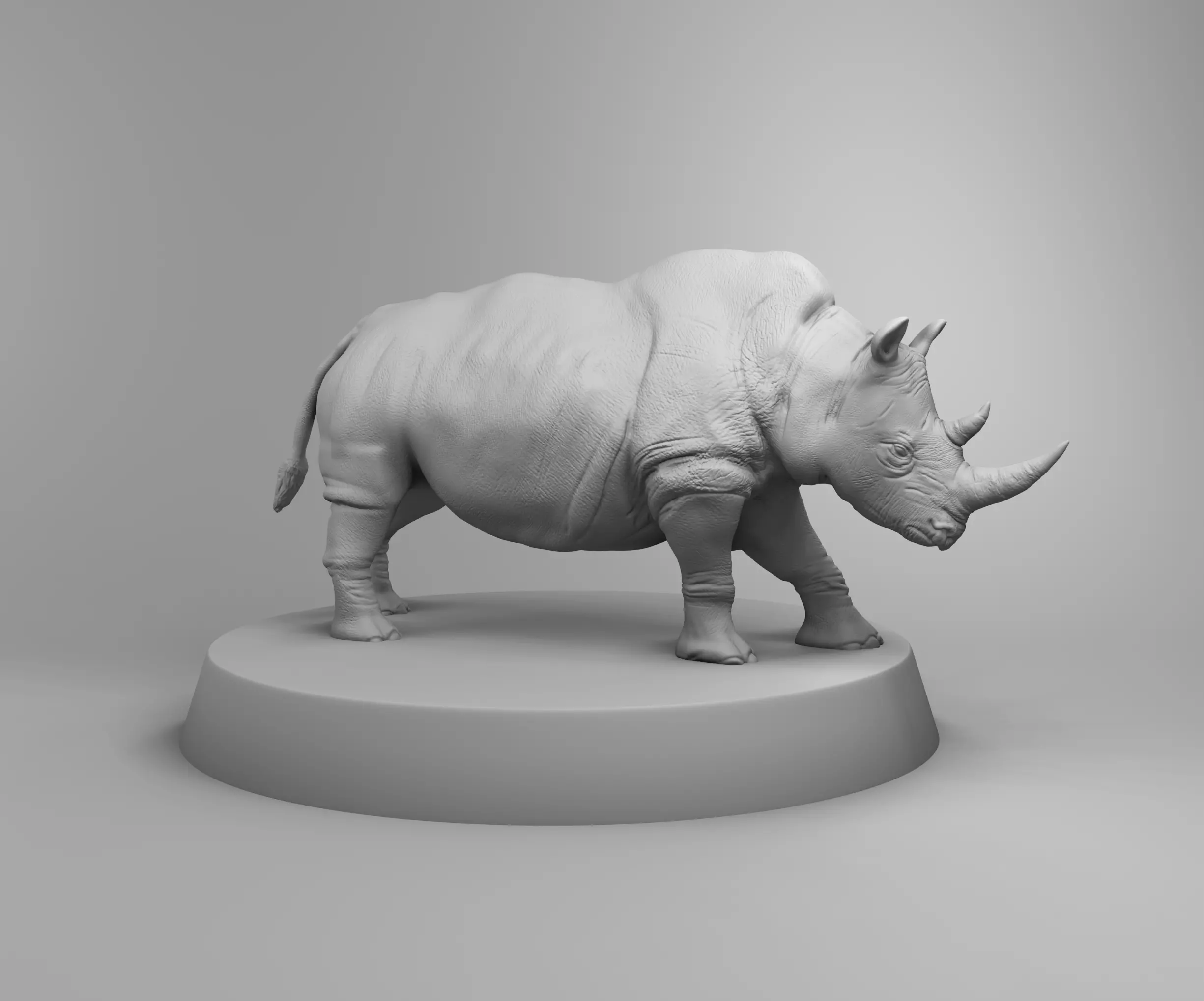 African rhino 3D print model_0