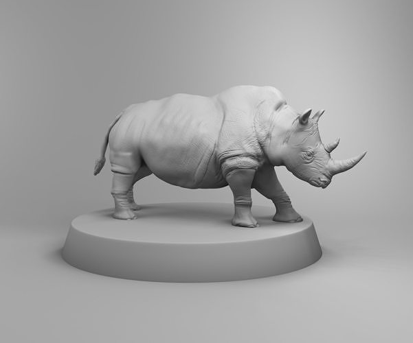 African rhino 3D print model