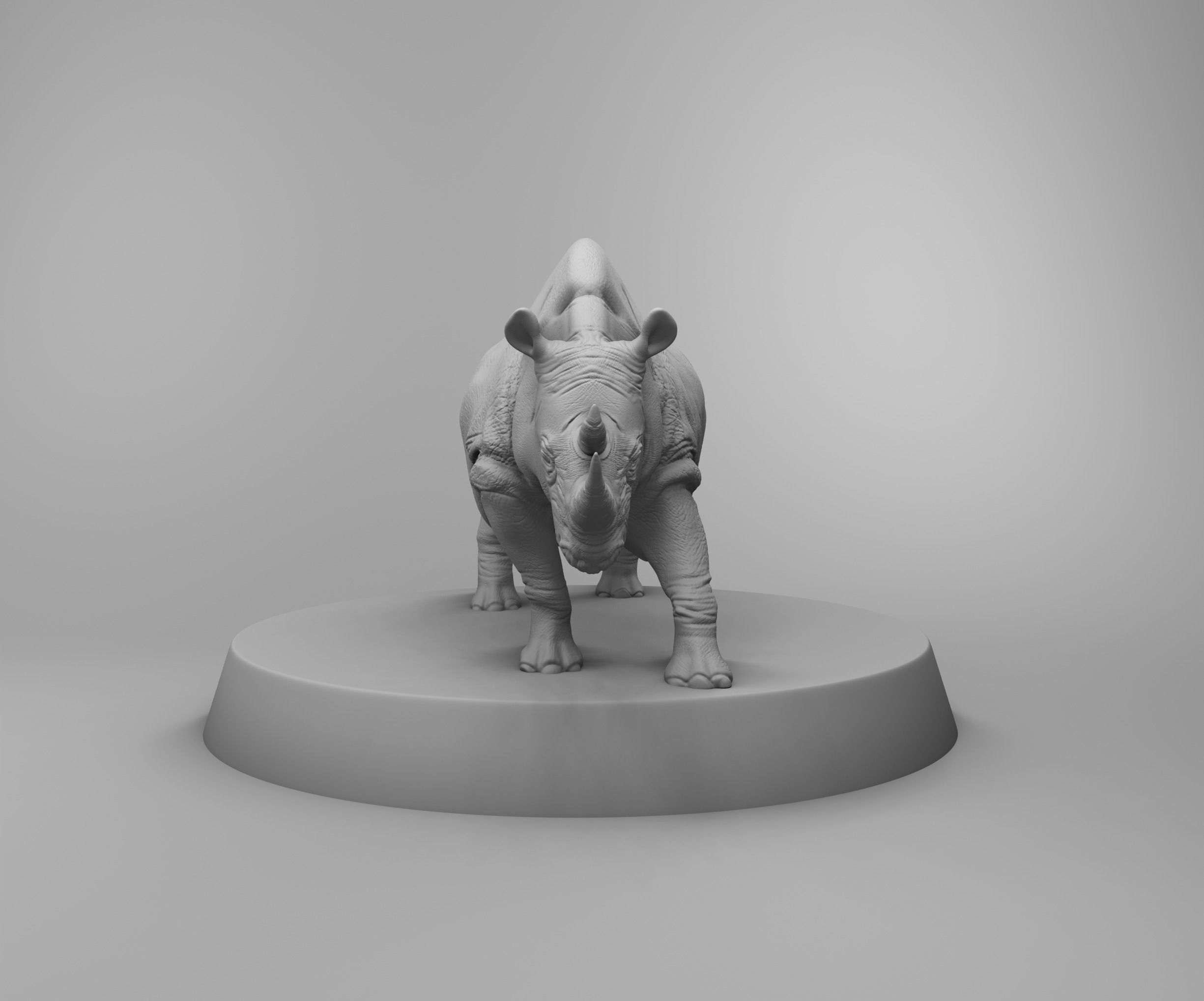 African rhino 3D print model_1