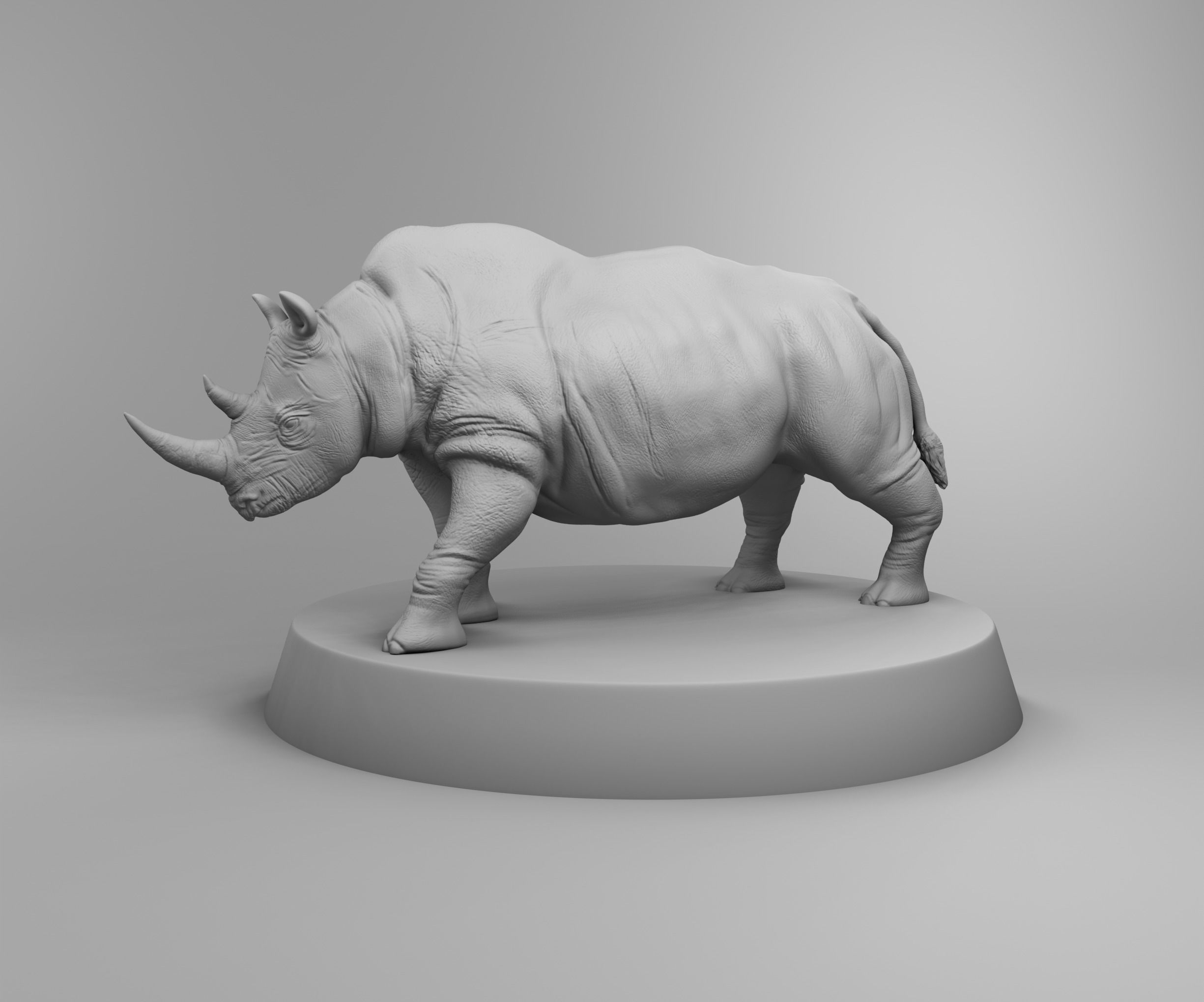 African rhino 3D print model_2