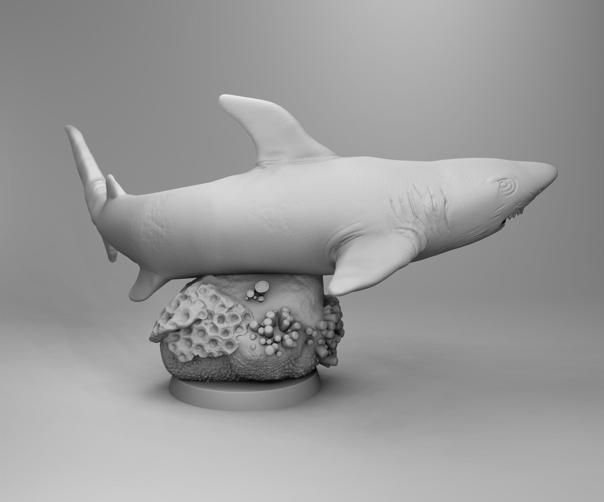 Ocean shark 3D print model_2