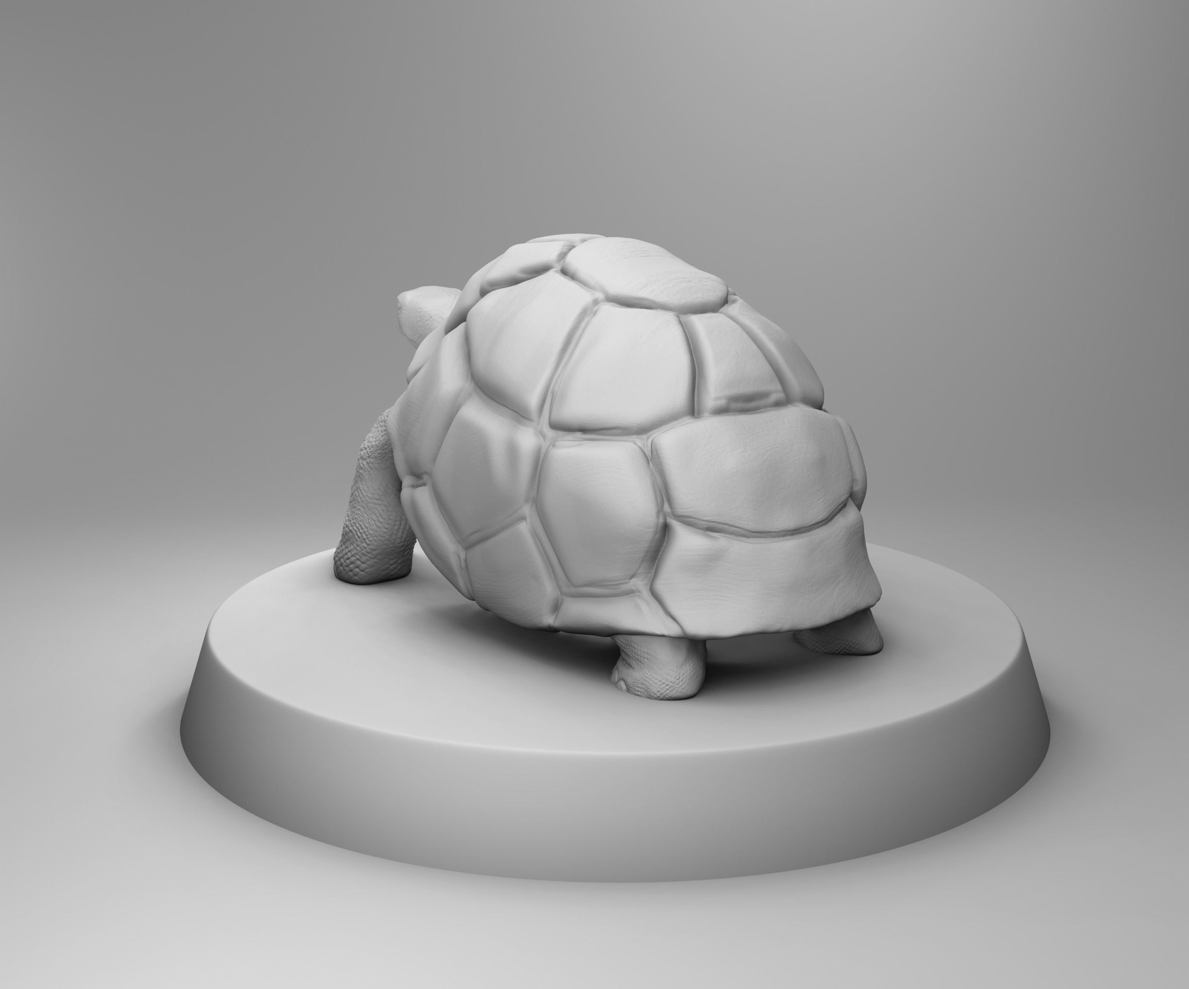 Turtle statue of tortoise 3D print model_2