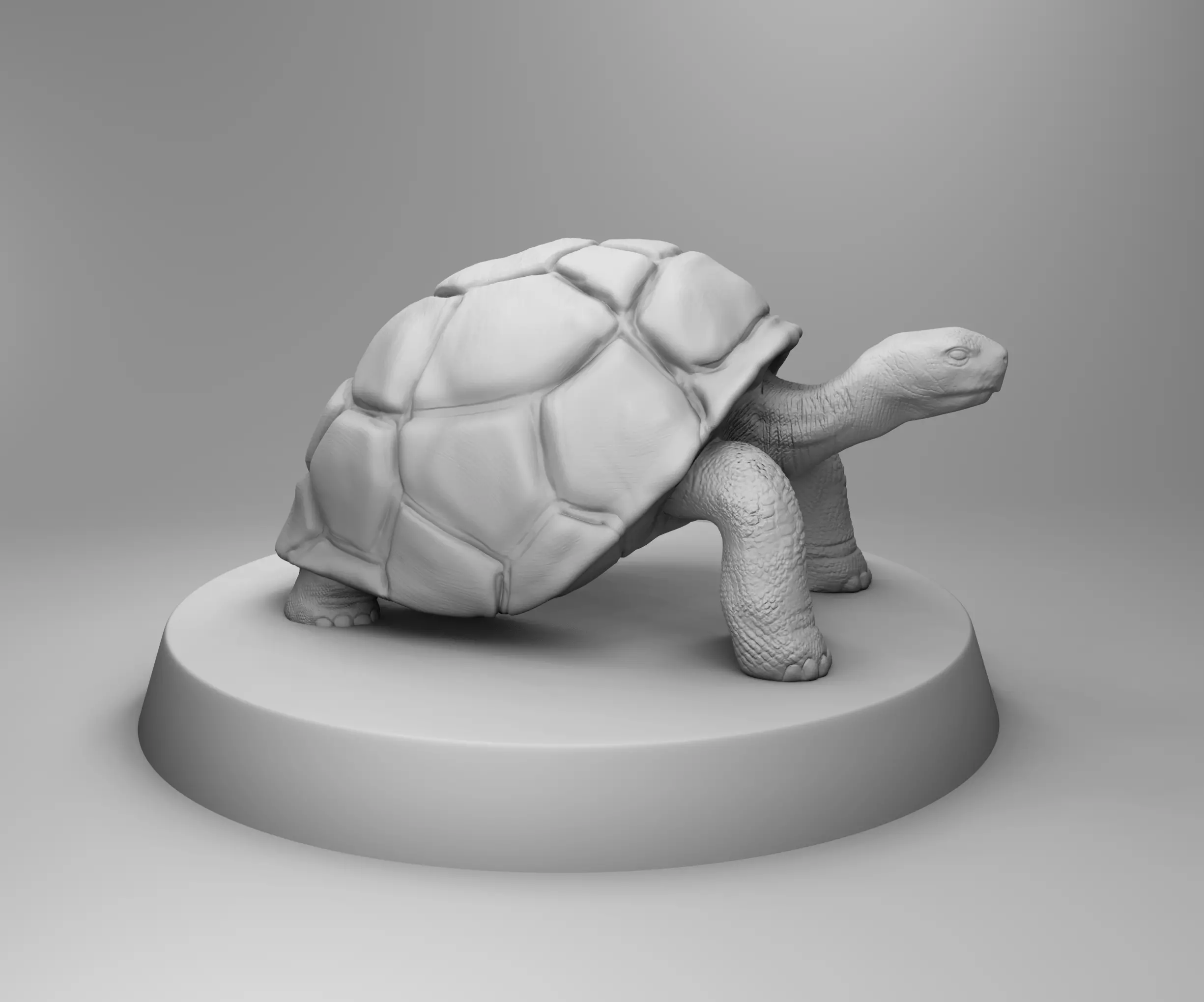Turtle statue of tortoise 3D print model_0