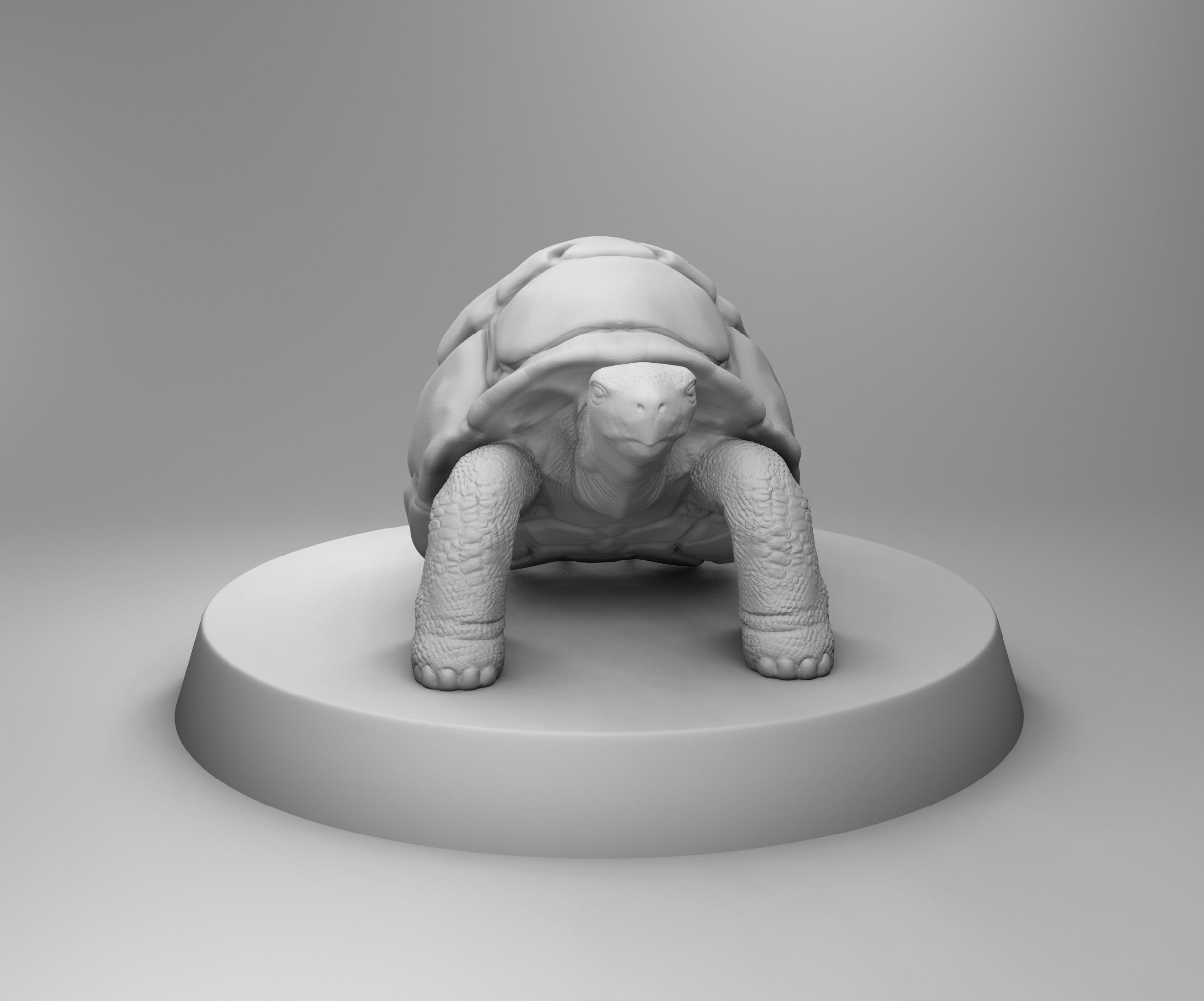 Turtle statue of tortoise 3D print model_1