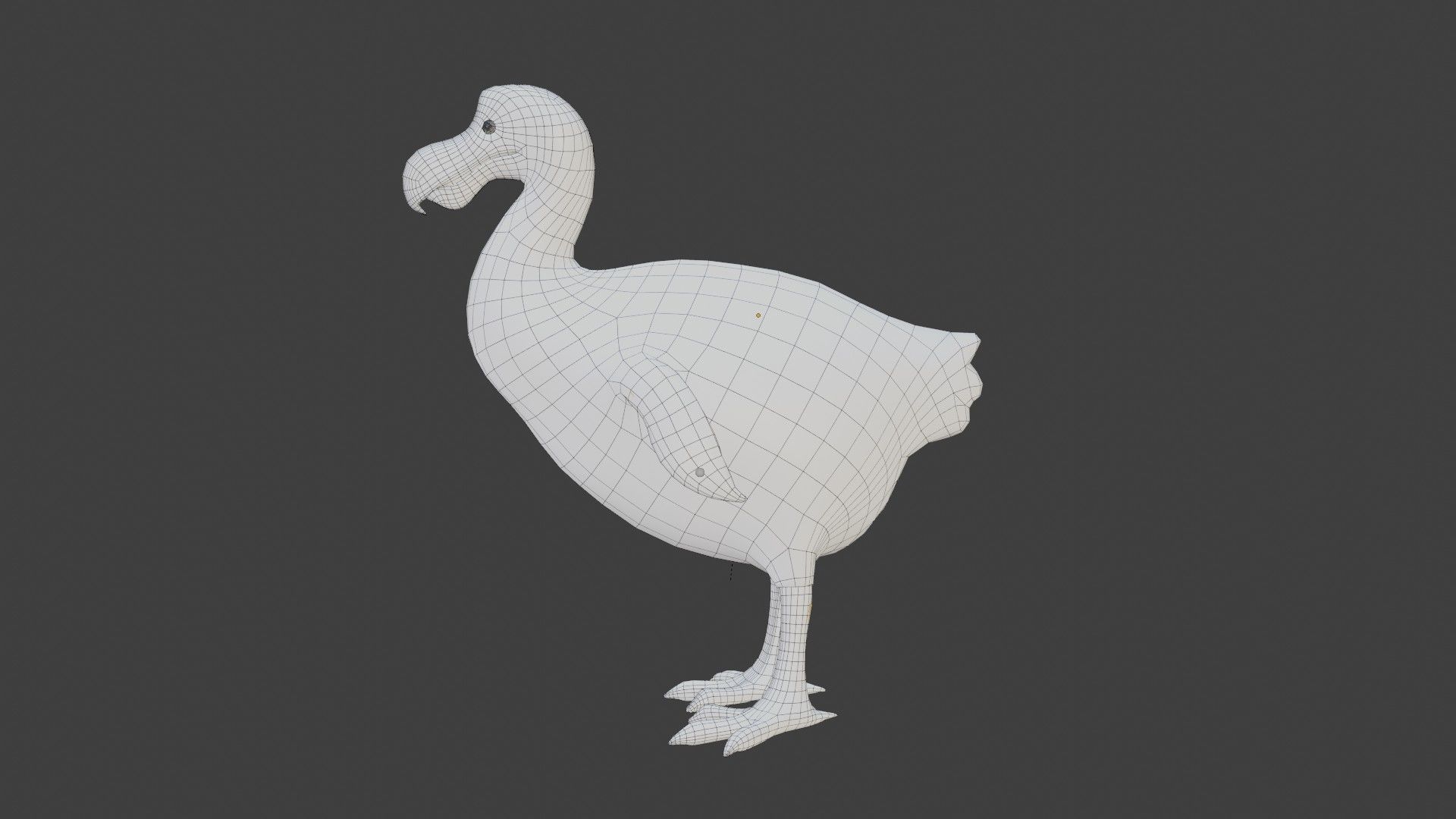 Dodo Bird Low-poly 3D model_10