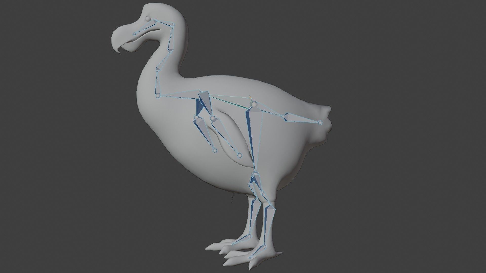 Dodo Bird Low-poly 3D model_9
