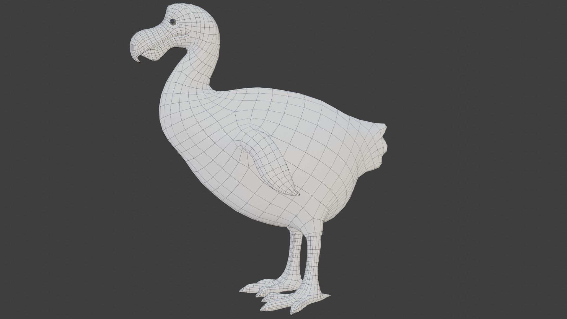 Dodo Bird Low-poly 3D model_11