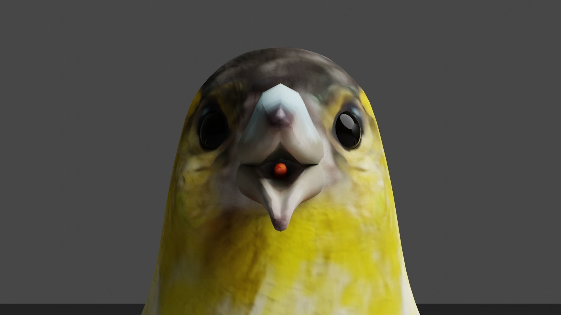 Siskin Bird Low-poly 3D model_10