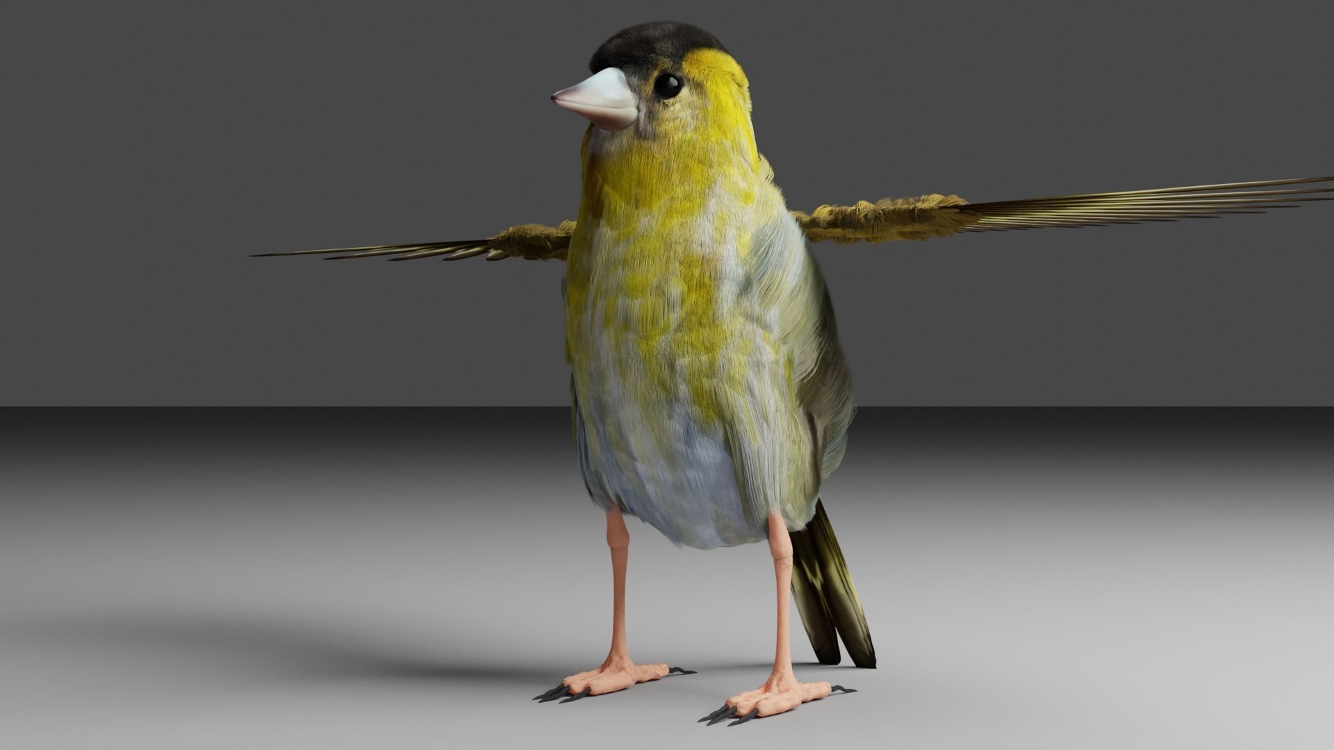Siskin Bird Low-poly 3D model_1