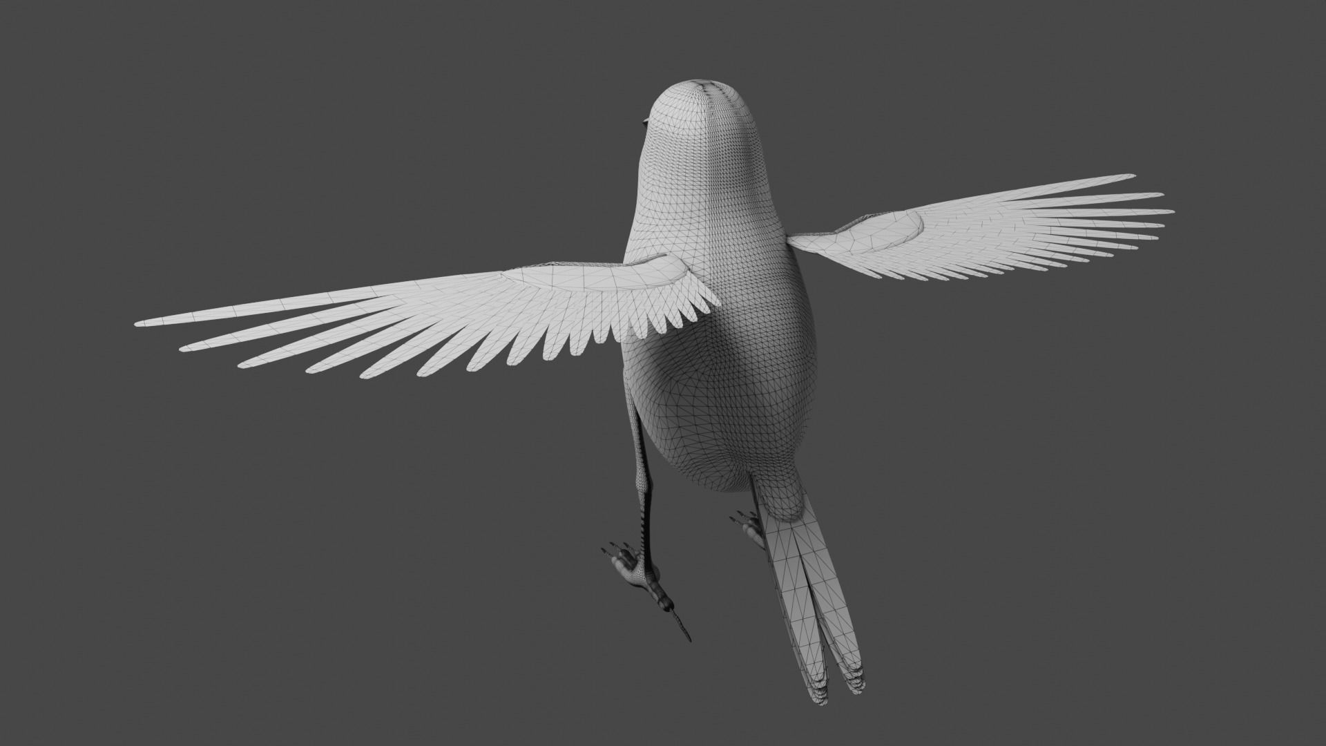 Siskin Bird Low-poly 3D model_15