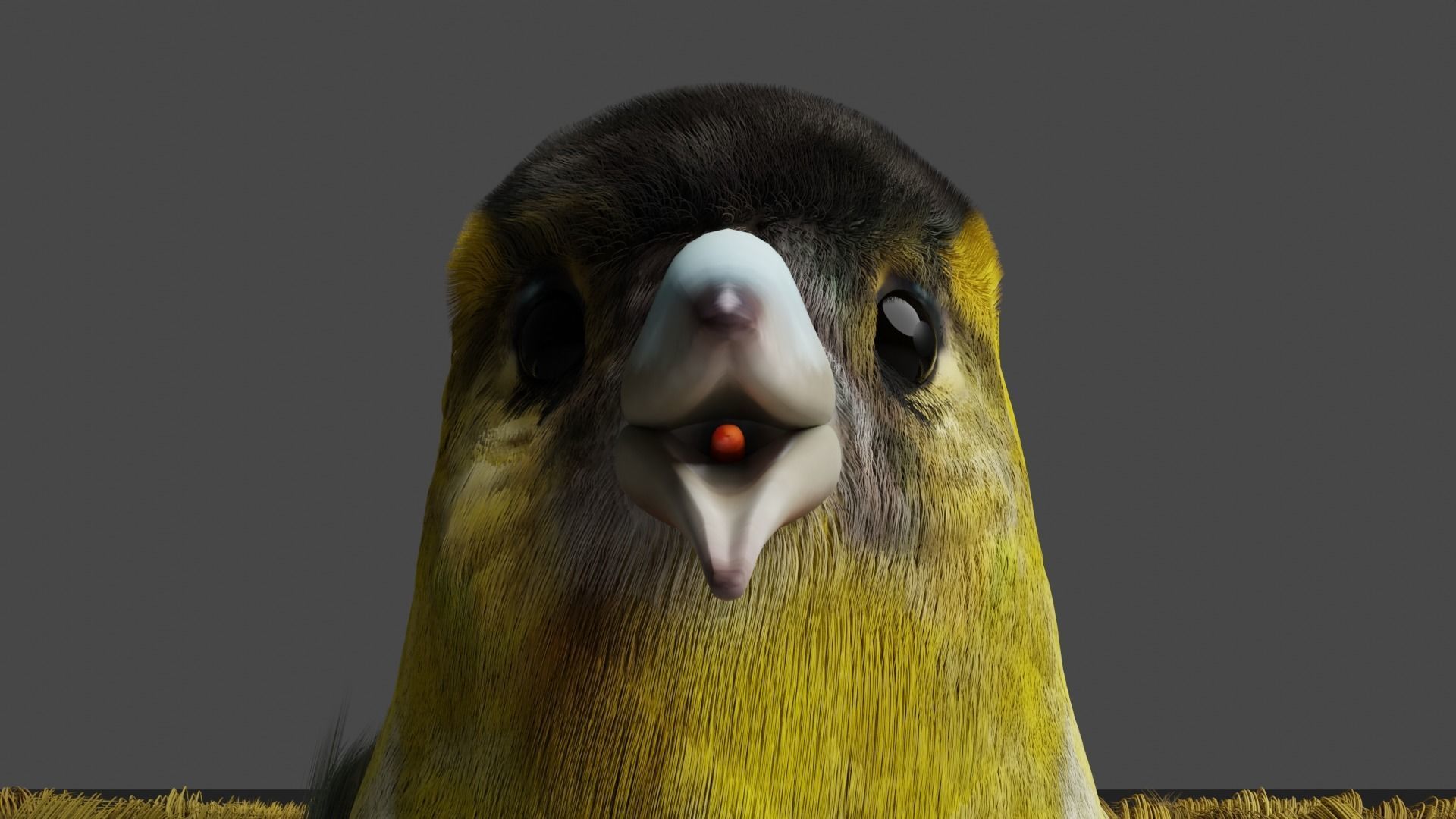 Siskin Bird Low-poly 3D model_3