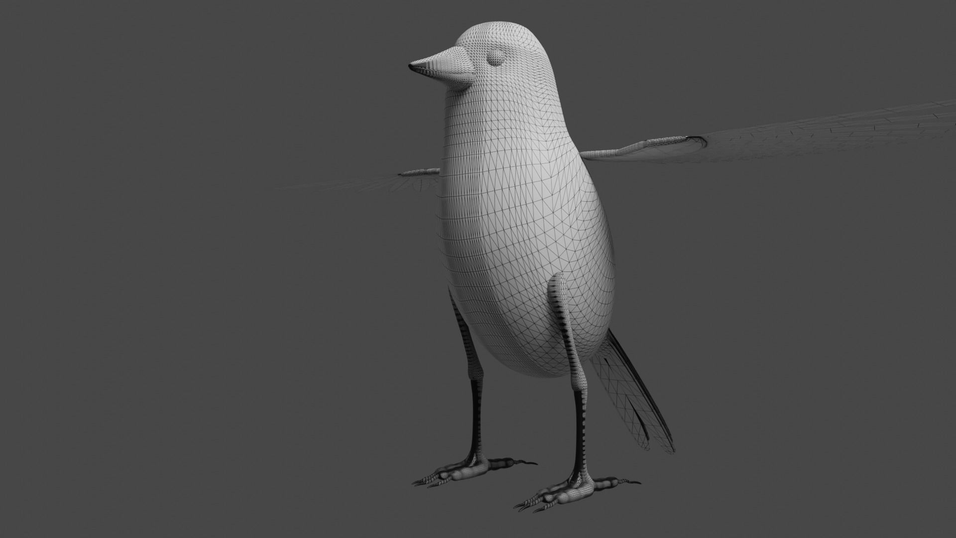 Siskin Bird Low-poly 3D model_16