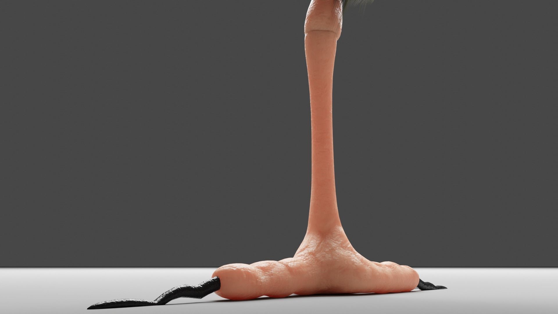 Siskin Bird Low-poly 3D model_6