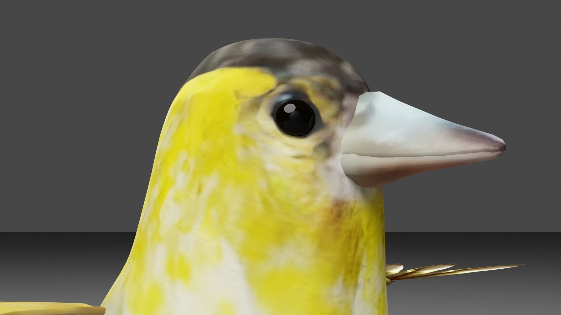 Siskin Bird Low-poly 3D model_11