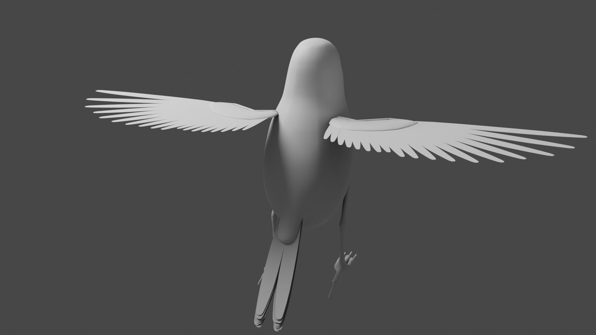 Siskin Bird Low-poly 3D model_14