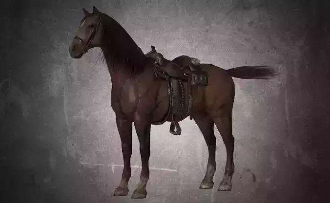 Horse - D5
