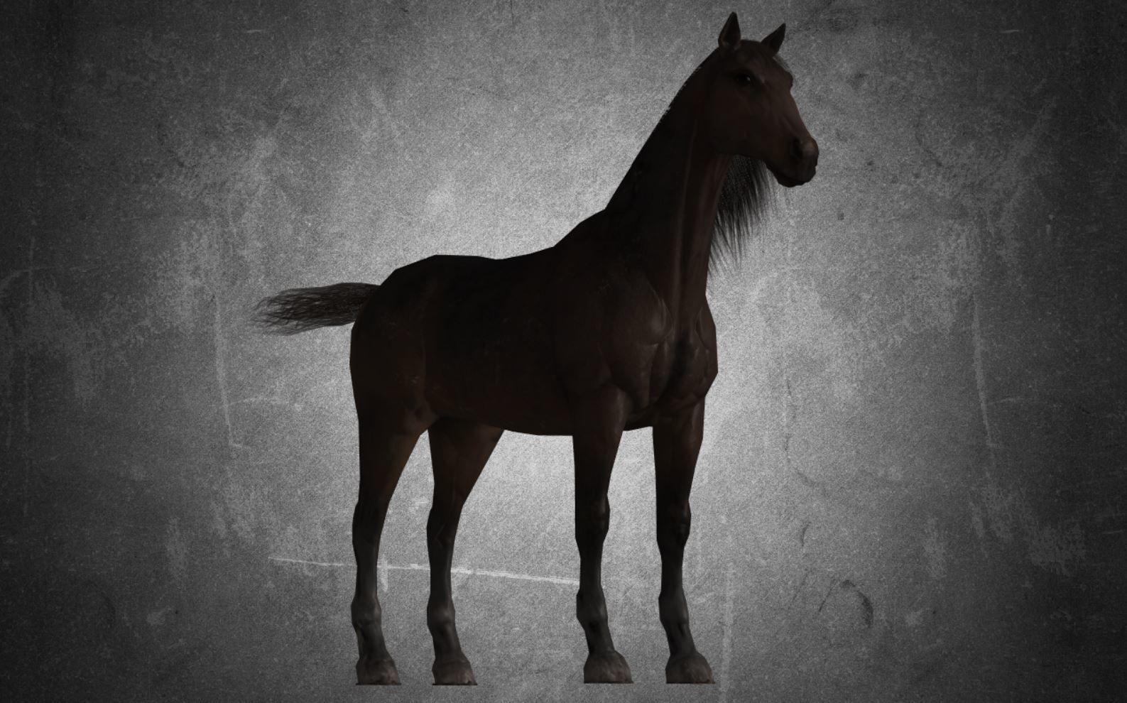 Horse - D7-D8 3D model_17