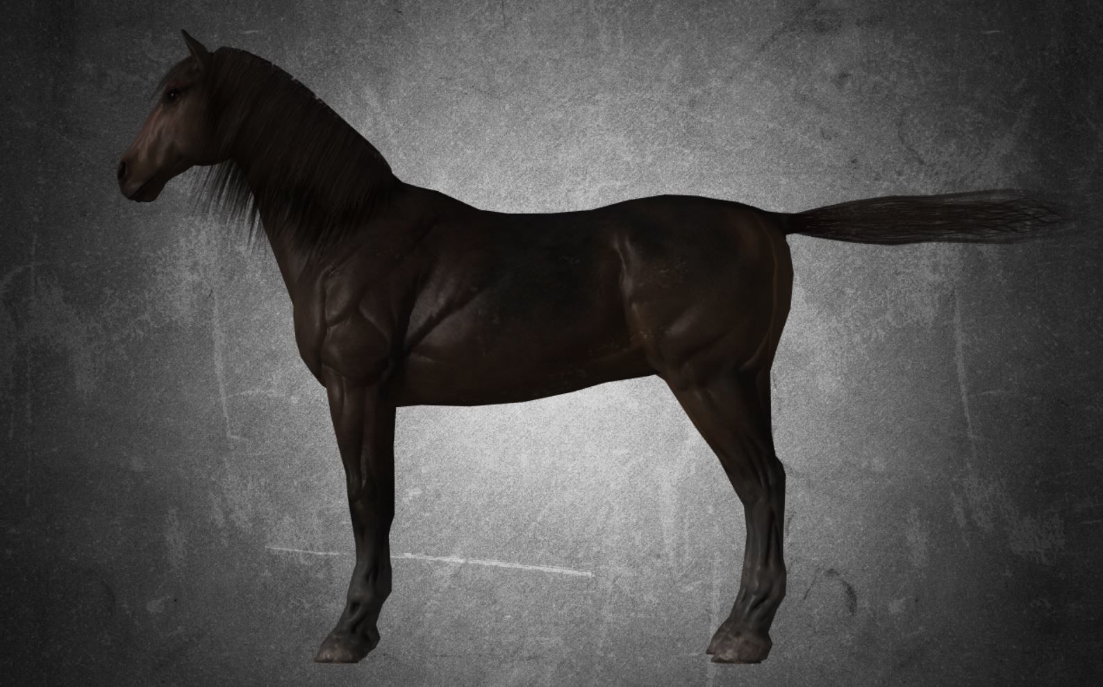 Horse - D7-D8 3D model_13