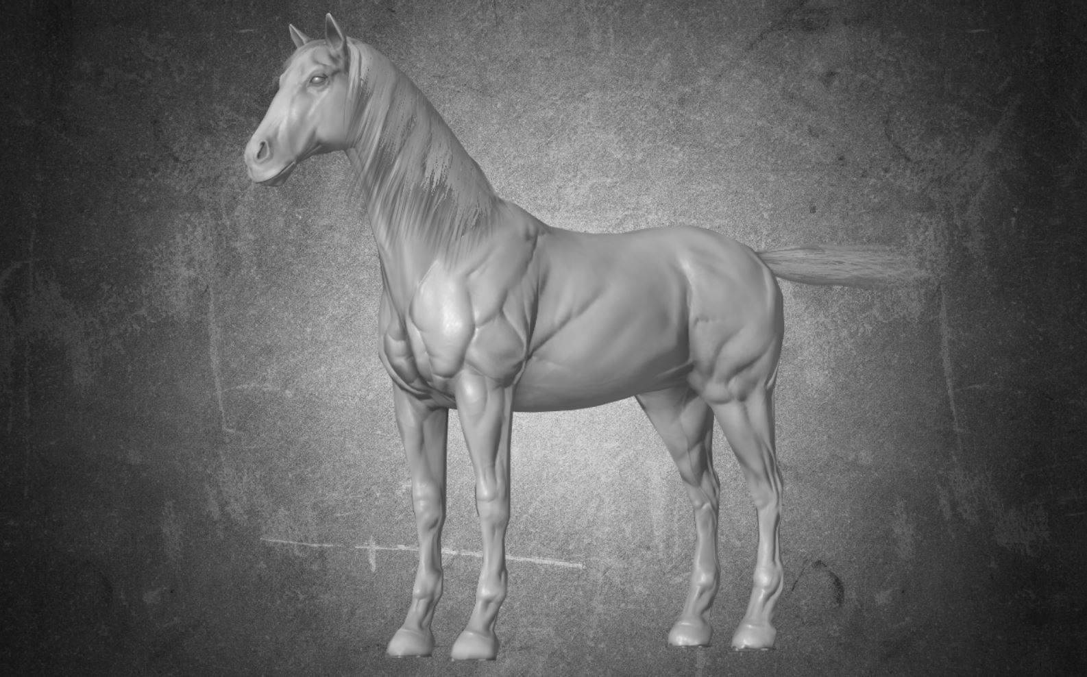 Horse - D7-D8 3D model_9