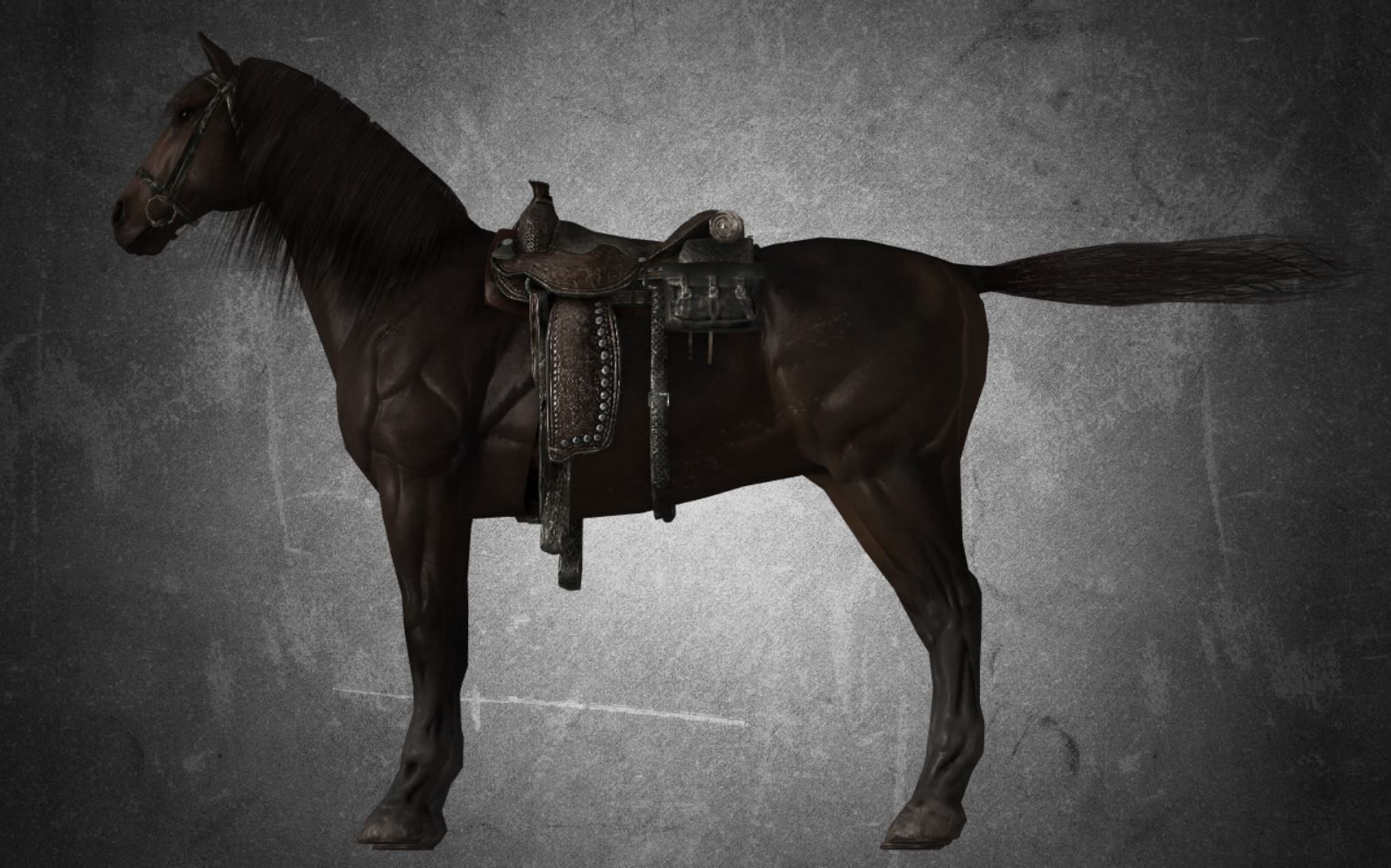 Horse - D7-D8 3D model_12