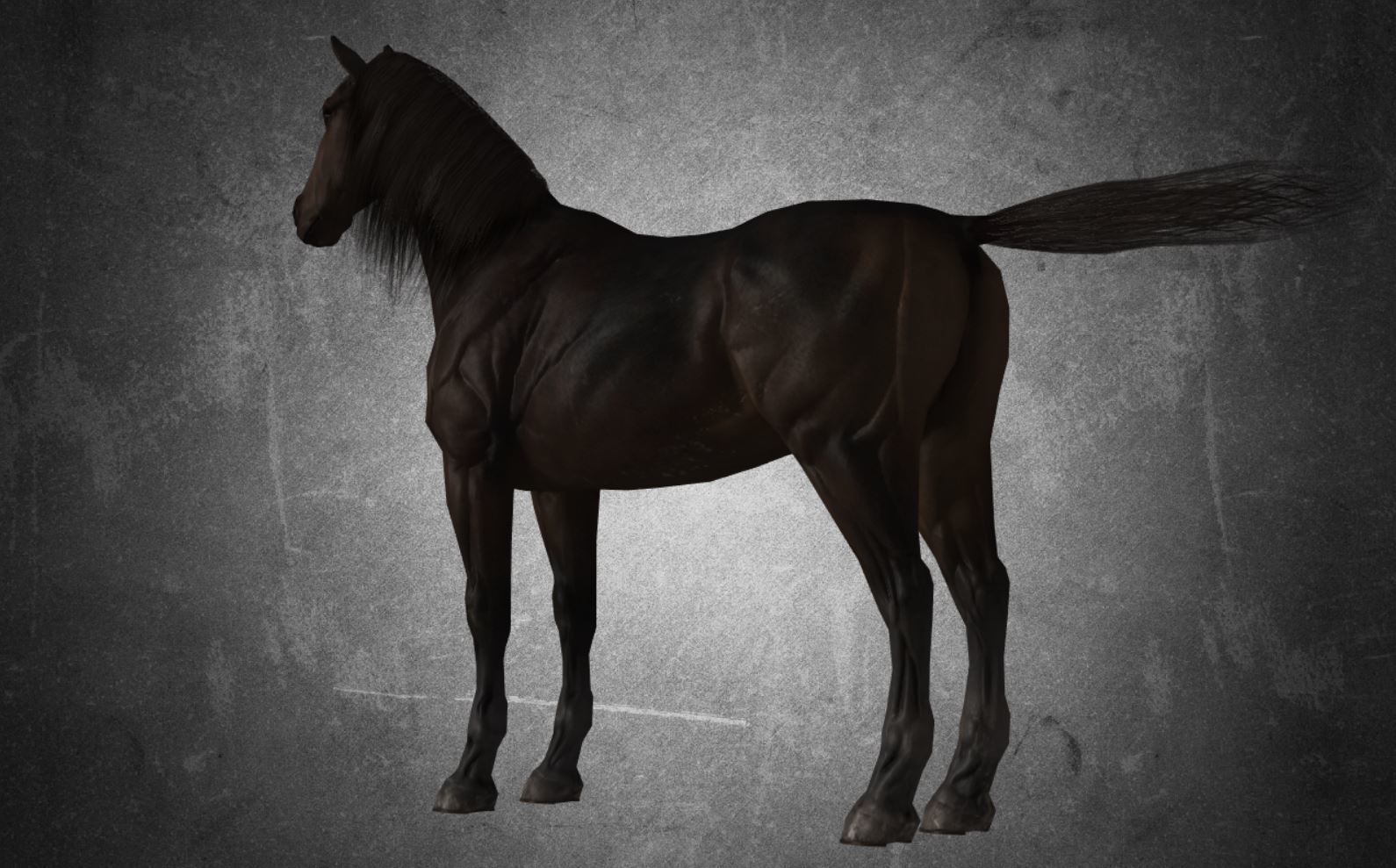 Horse - D7-D8 3D model_15