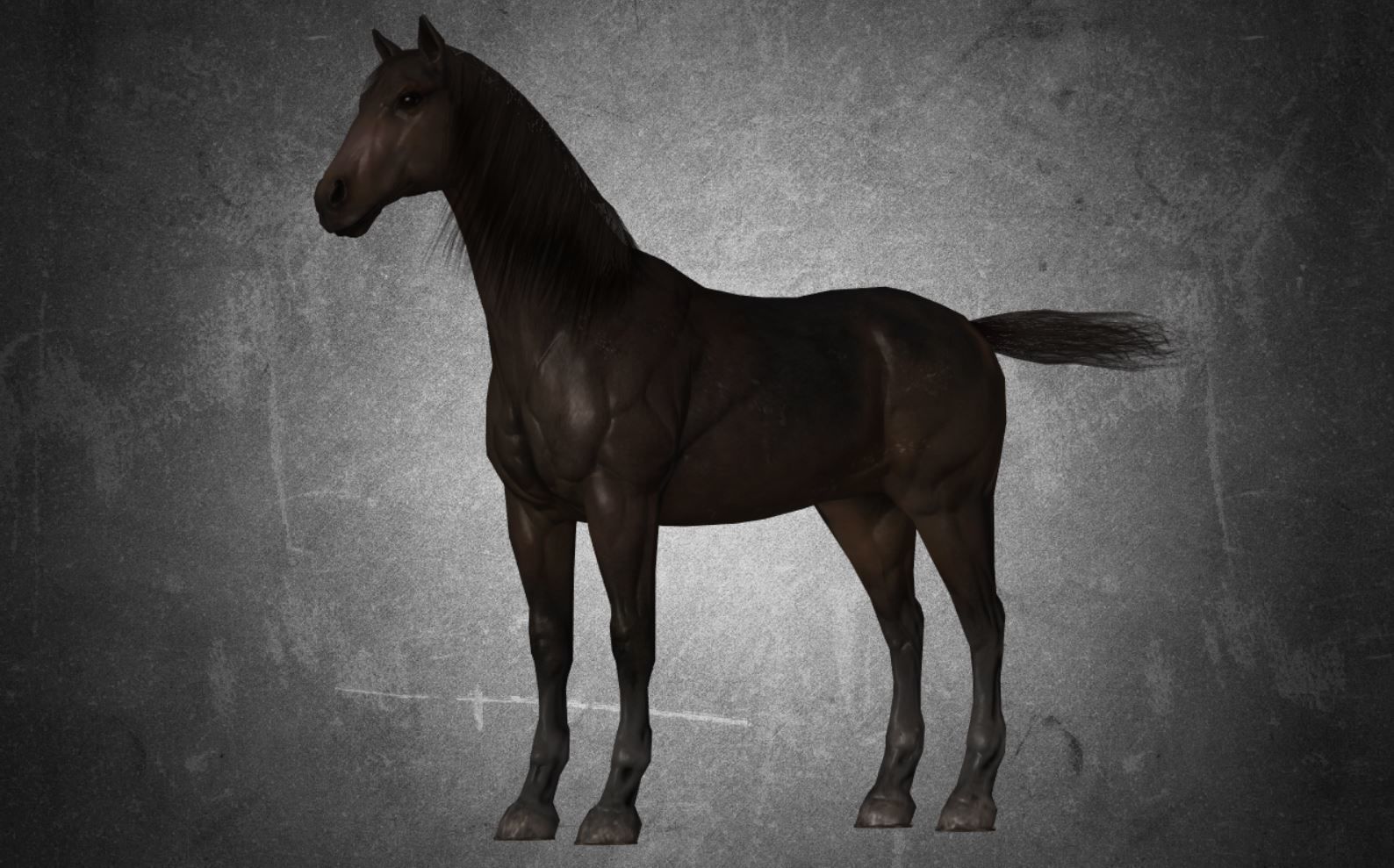 Horse - D7-D8 3D model_1