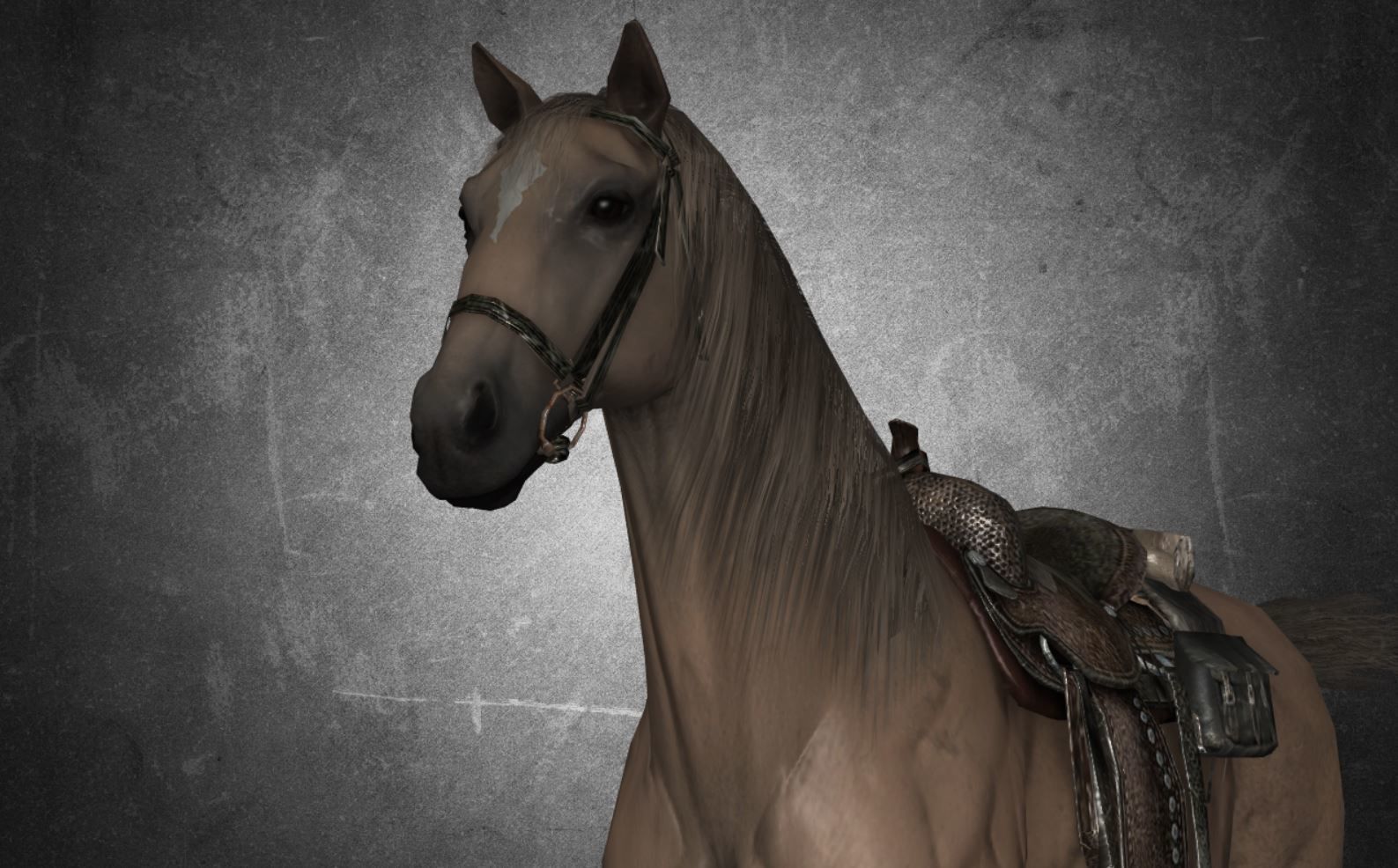 Horse - D9-D10 3D model_18