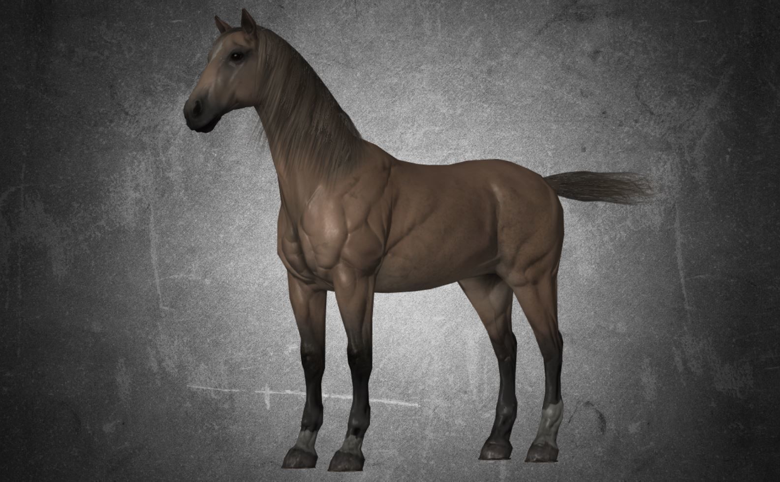 Horse - D9-D10 3D model_1