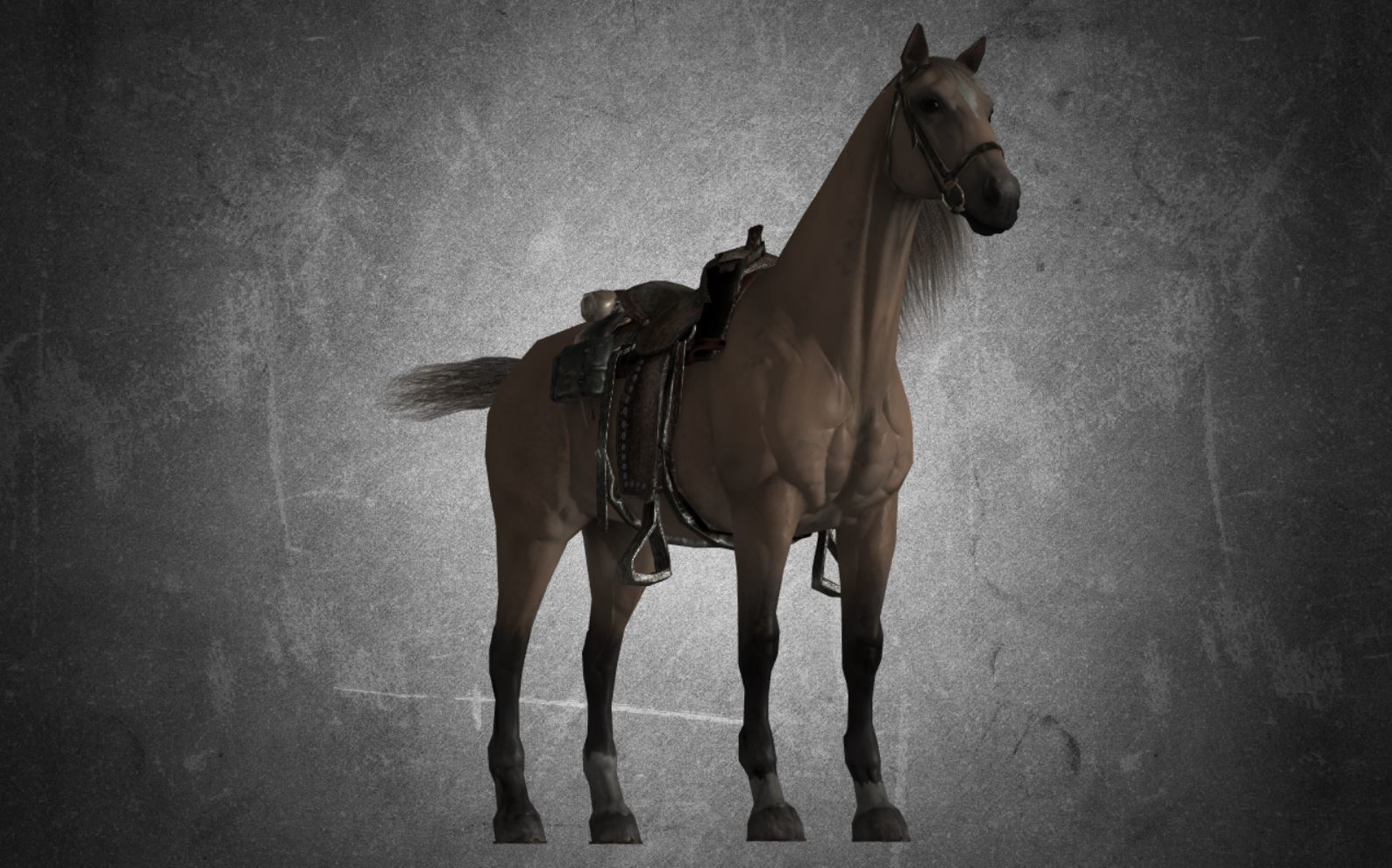 Horse - D9-D10 3D model_16