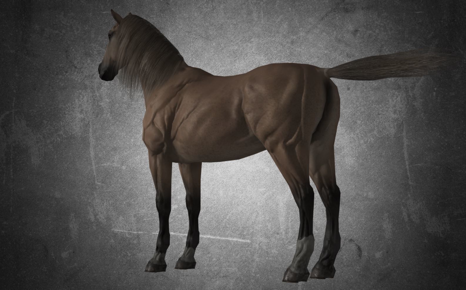 Horse - D9-D10 3D model_15