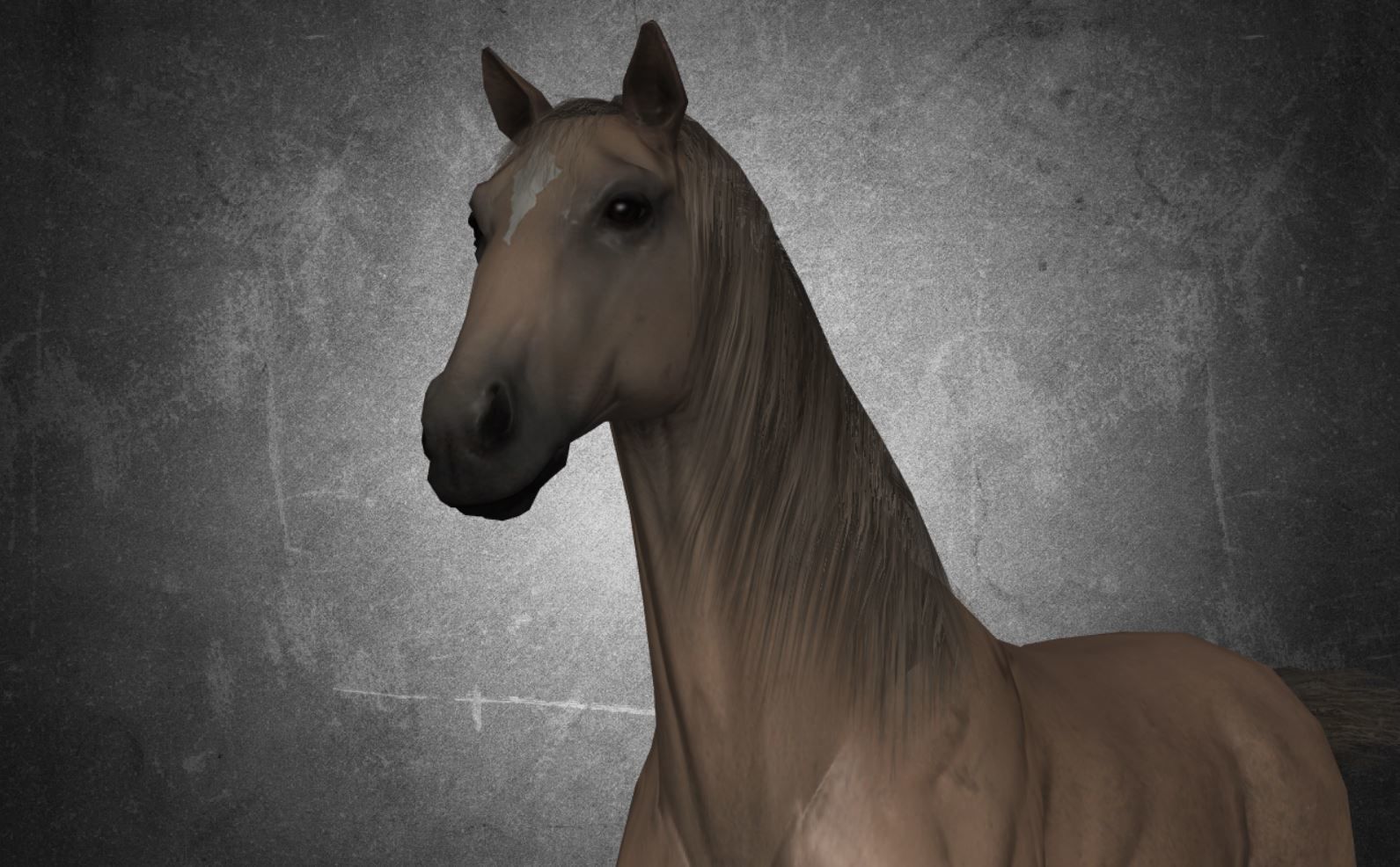 Horse - D9-D10 3D model_19