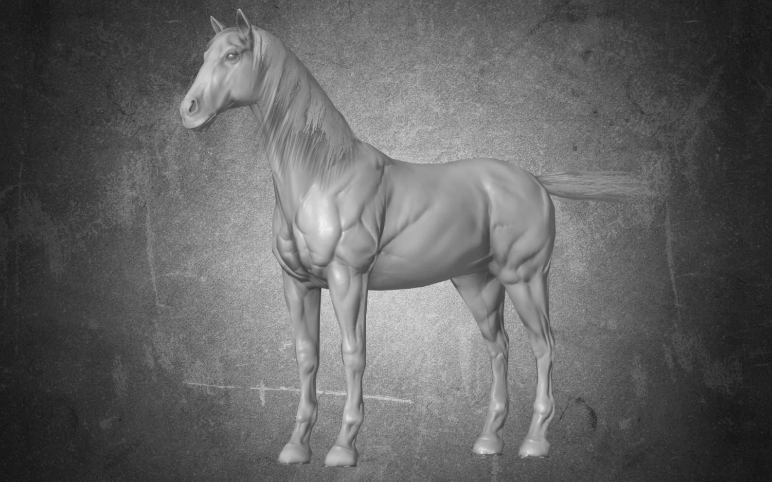 Horse - D9-D10 3D model_9