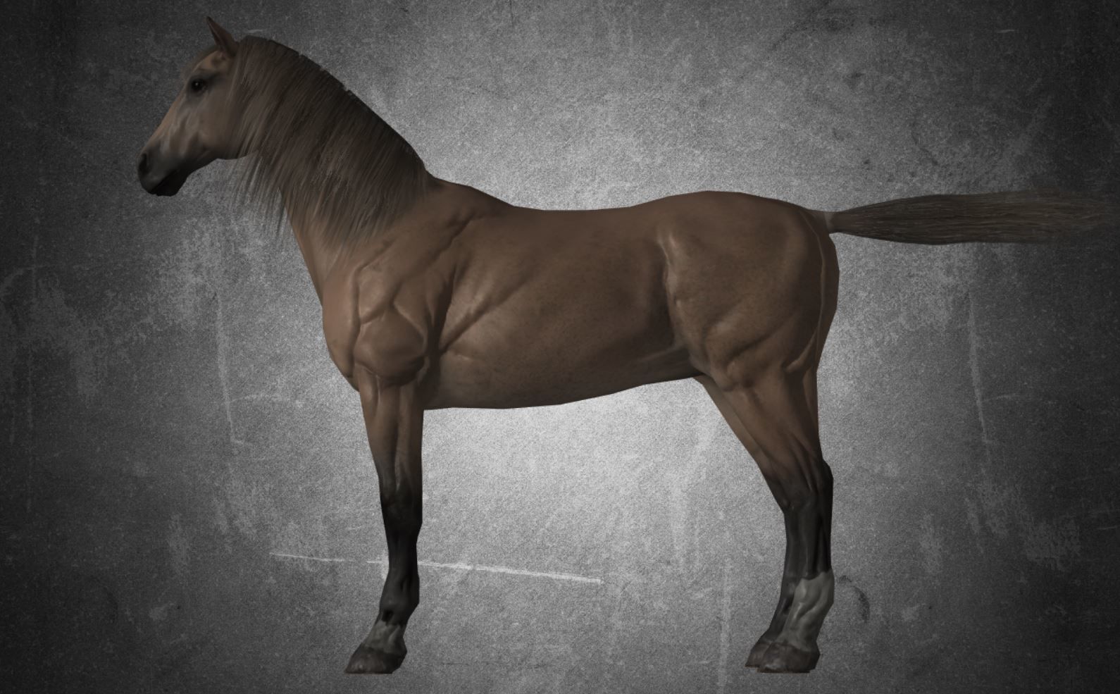Horse - D9-D10 3D model_13