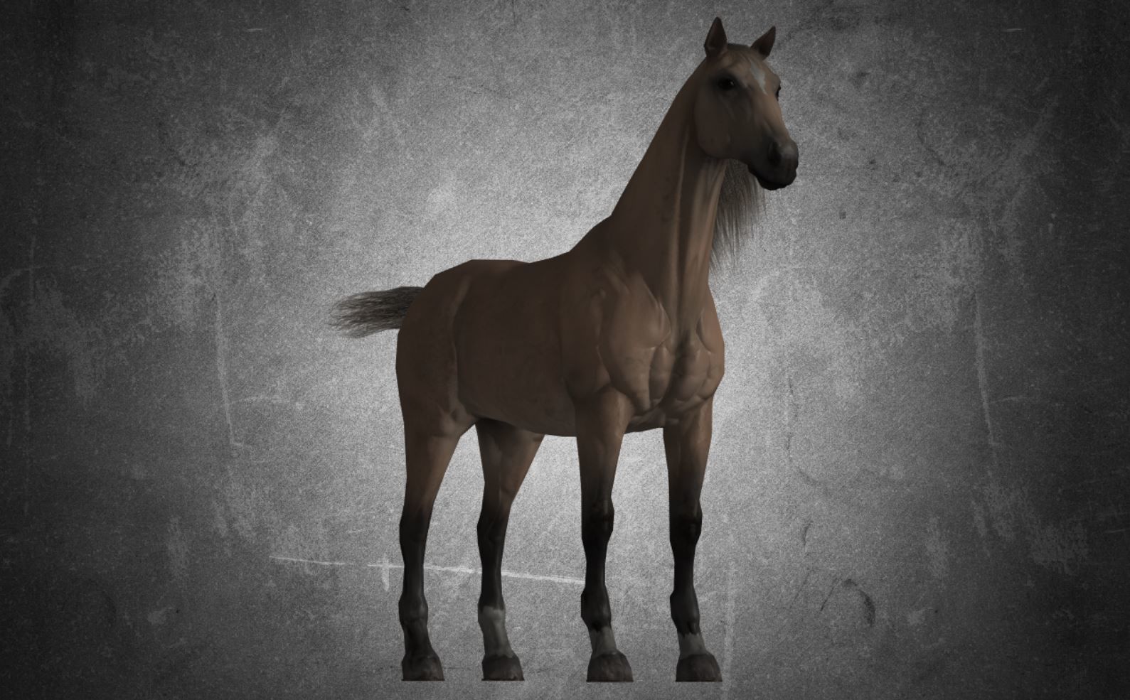 Horse - D9-D10 3D model_17