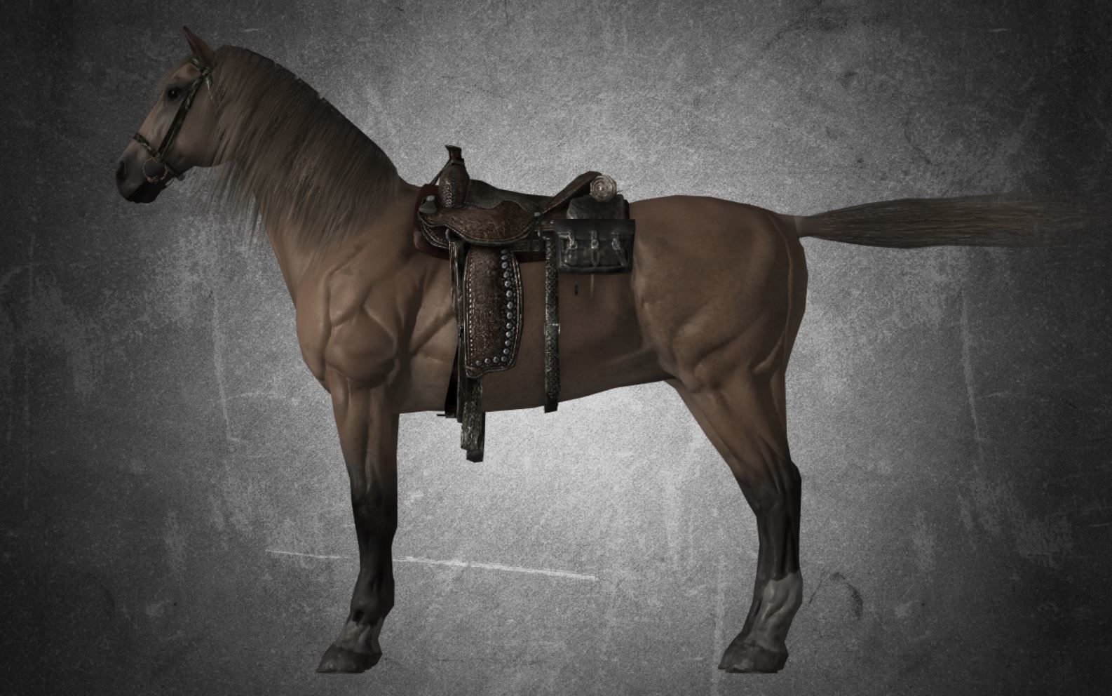 Horse - D9-D10 3D model_12