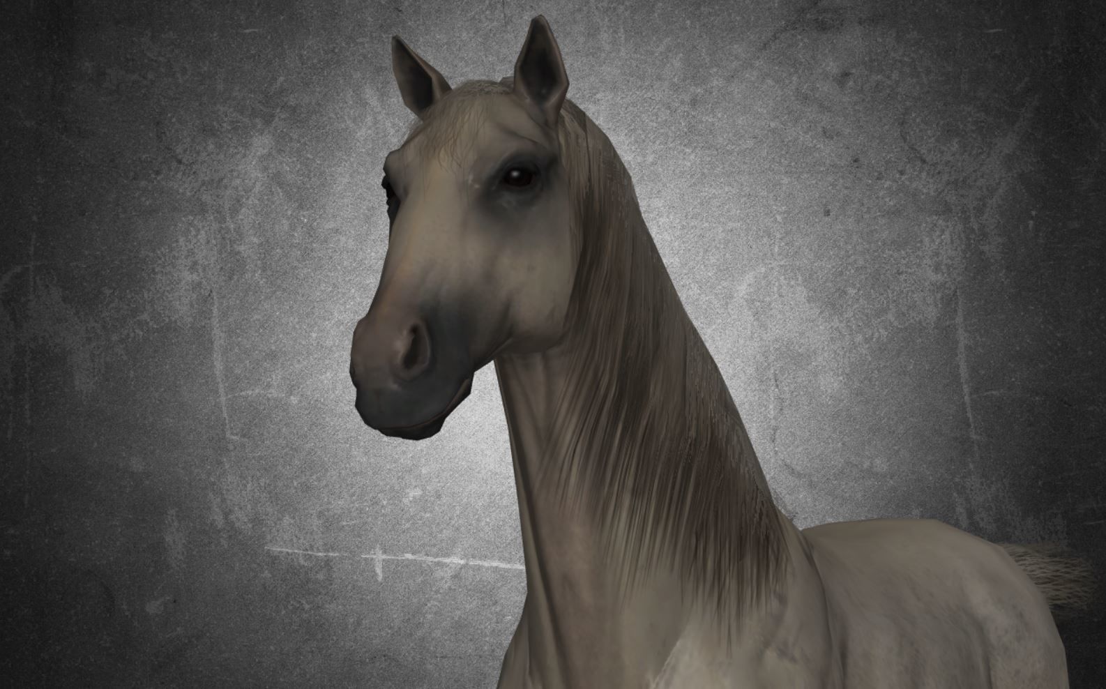 Horse - D11-D12 3D model_19