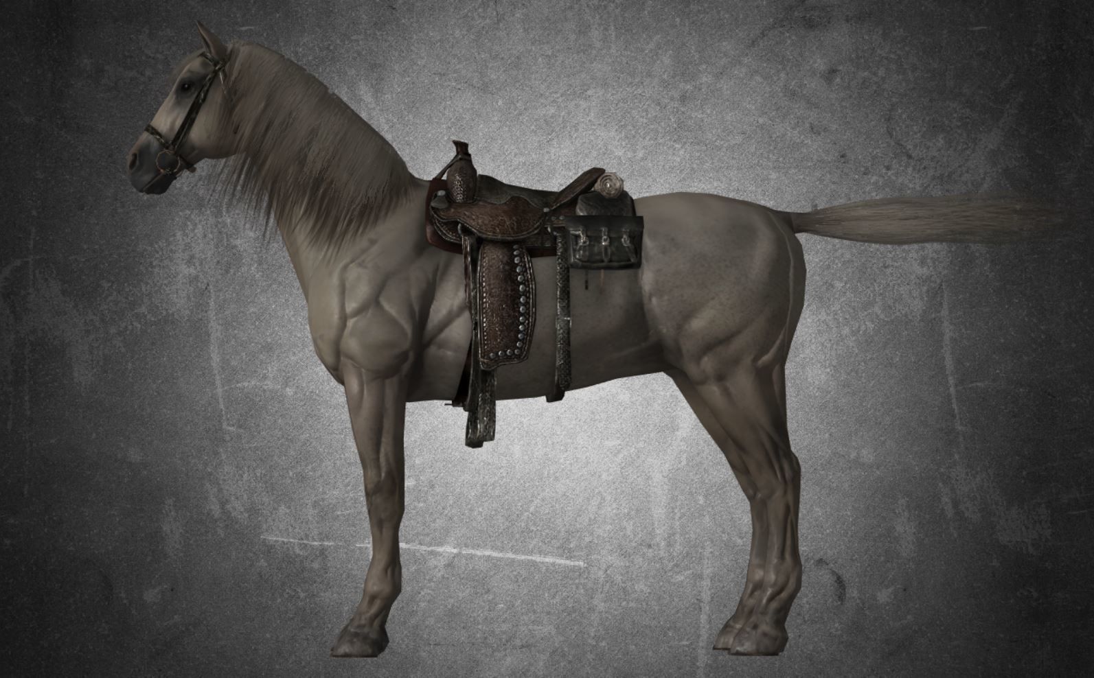 Horse - D11-D12 3D model_12