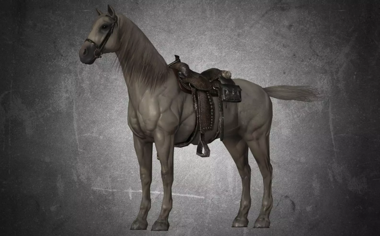 Horse - D11-D12 3D model_0