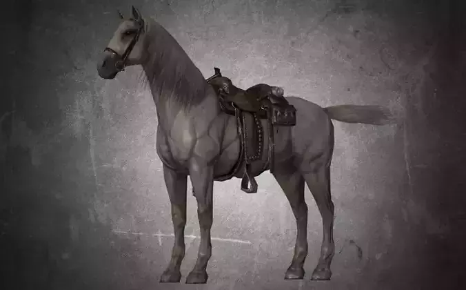 Horse - D11-D12 3D model