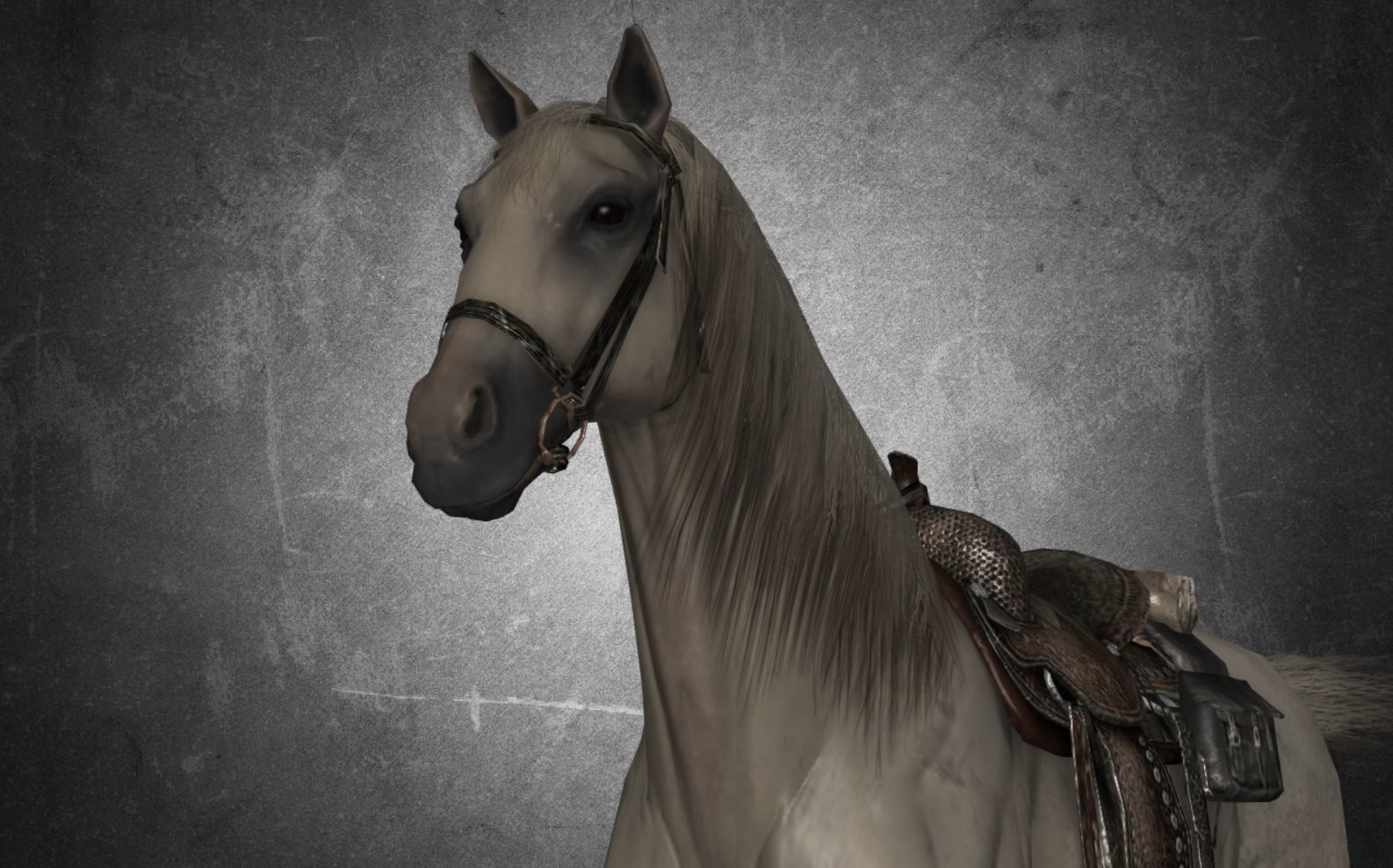 Horse - D11-D12 3D model_18