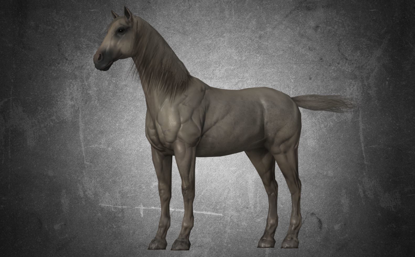 Horse - D11-D12 3D model_1