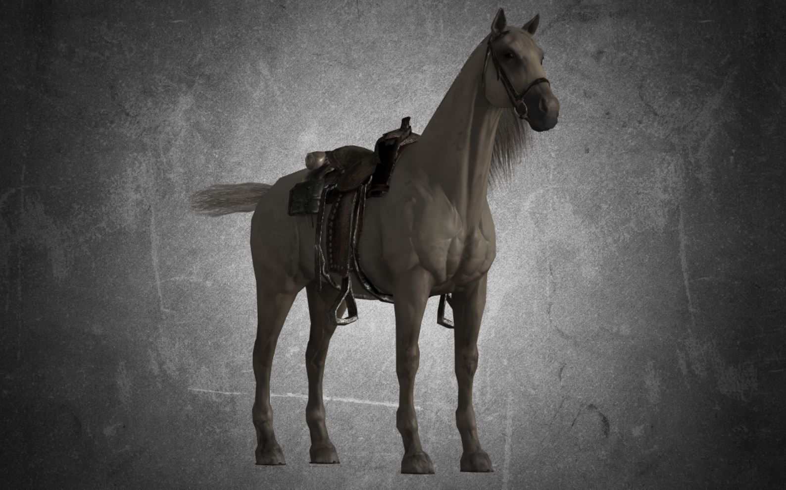 Horse - D11-D12 3D model_16